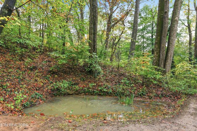 1521 Mcghee Springs Way, Maryville, TN 37803