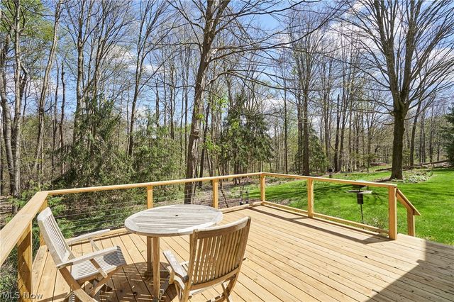 14125 Country River Lane, Newbury, OH 44065