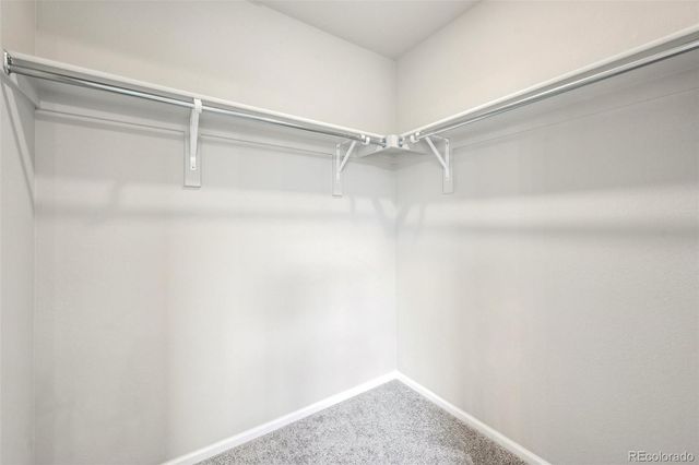 8779 Whiteclover Street, Littleton, CO 80125