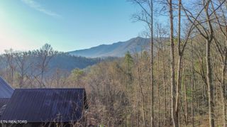 Cooper Hollow Rd, Townsend, TN 37882