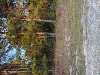 Tbd Cognac Road, Hamlet, NC 28345