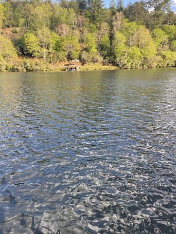 1105 Old Evans Road, Murphy, NC 28906