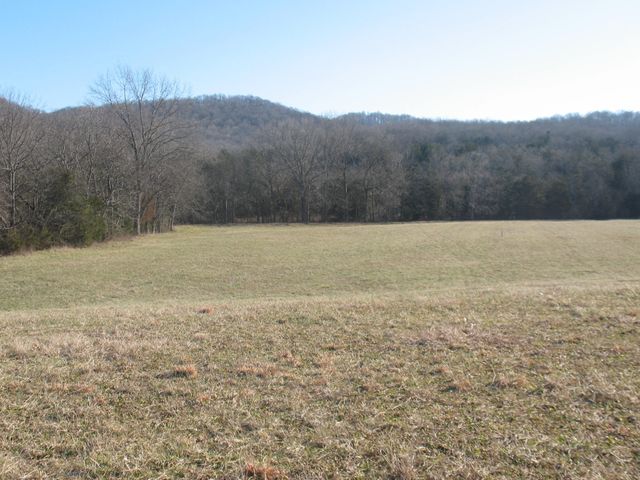0 Burt Burgen Road, Woodbury, TN 37190