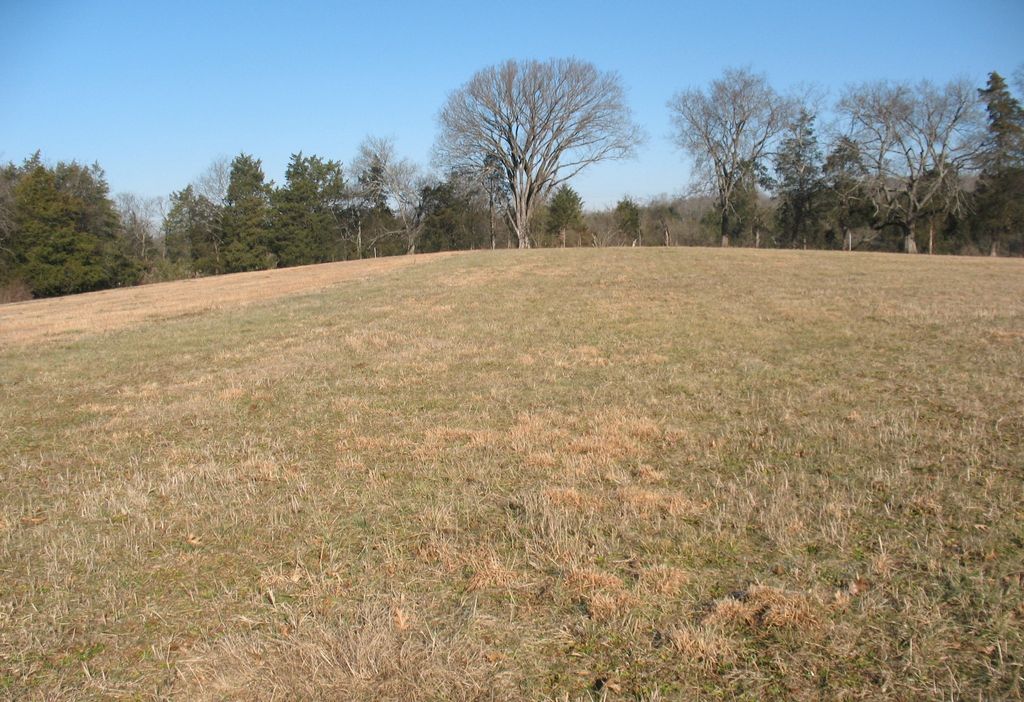 0 Burt Burgen Road, Woodbury, TN 37190