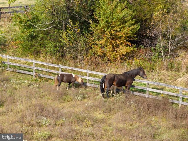 19937 EVERGREEN MILLS RD, Leesburg, VA 20175
