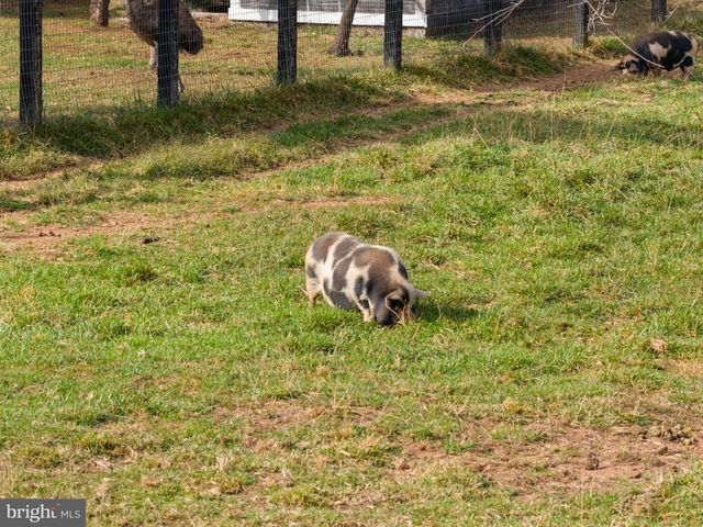 19937 EVERGREEN MILLS RD, Leesburg, VA 20175