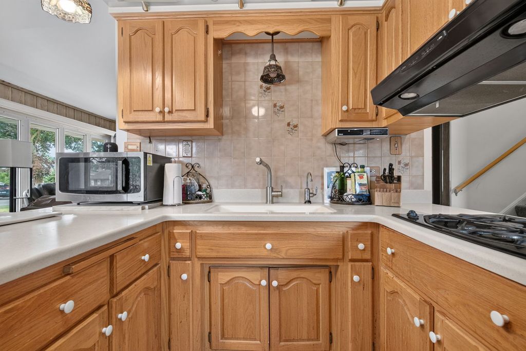 9915 S KENTON Avenue, Oak Lawn, IL 60453 — photo 4