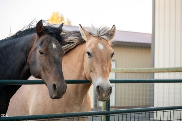 13714 SW Chipmunk Road, Terrebonne, OR 97760