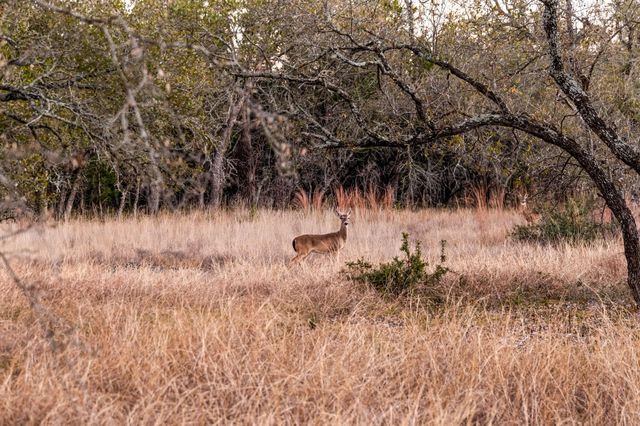 4300 Travis Peak TRL, Marble Falls, TX 78654