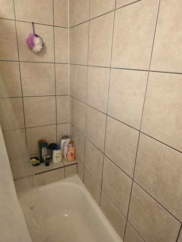 12026 S State Street, Chicago, IL 60628