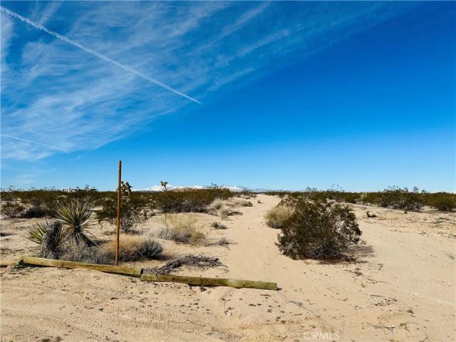 1234 Desert Lily, Joshua Tree, CA 92252