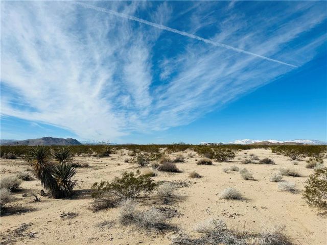 1234 Desert Lily, Joshua Tree, CA 92252