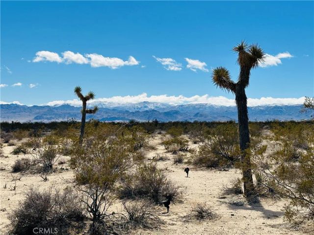 1234 Desert Lily, Joshua Tree, CA 92252