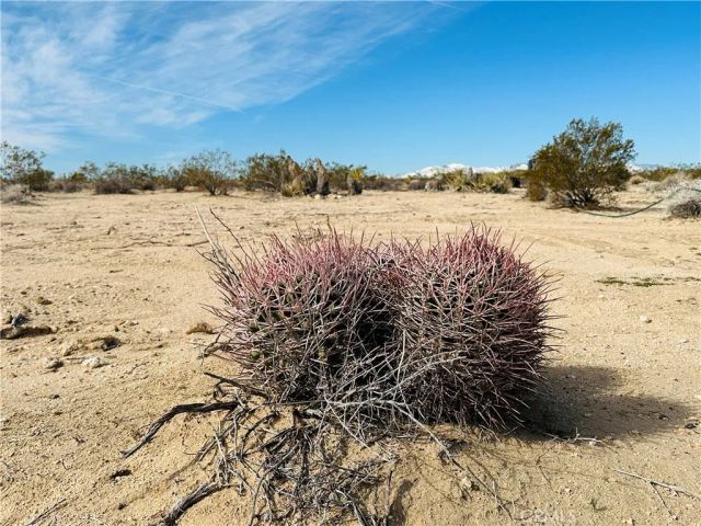 1234 Desert Lily, Joshua Tree, CA 92252