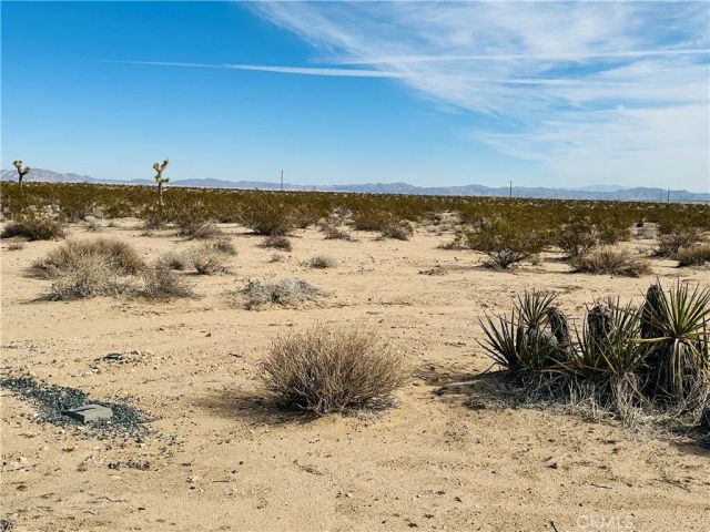 1234 Desert Lily, Joshua Tree, CA 92252