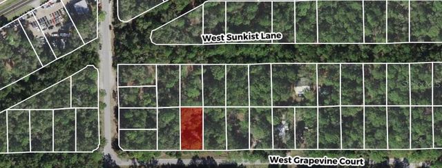 2949 W GRAPEVINE COURT, Dunnellon, FL 34433