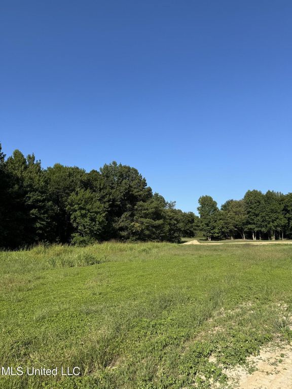 Holly Springs Road, Hernando, MS 38632 — photo 2