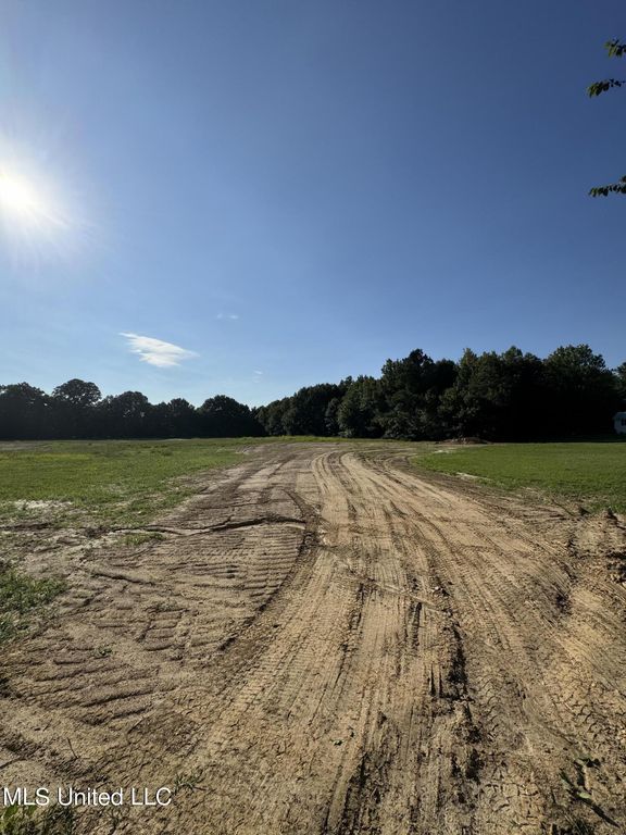 Holly Springs Road, Hernando, MS 38632 — photo 4