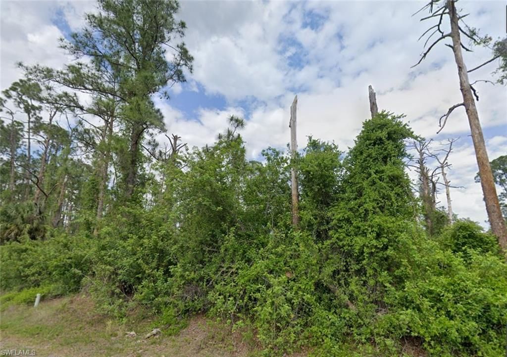 704 Wellington AVE, LEHIGH ACRES, FL 33972 — exterior