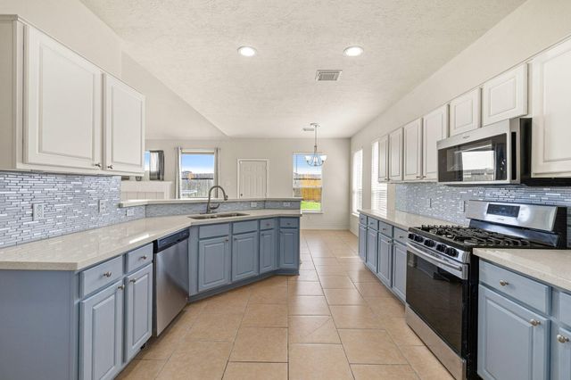 20307 Wild Berry Drive, Katy, TX 77449