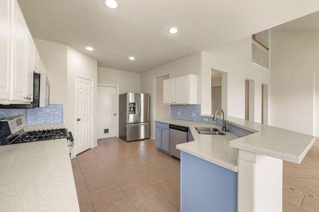 20307 Wild Berry Drive, Katy, TX 77449