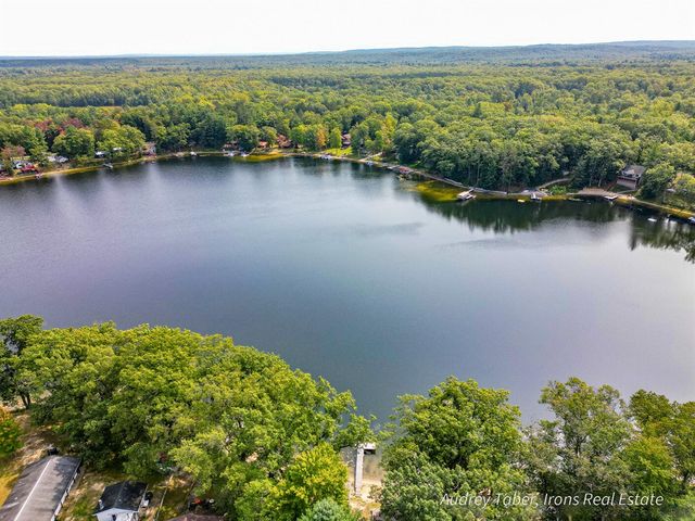 5190 N Bass Lake Road, Irons, MI 49644