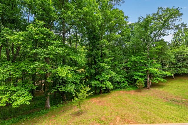 665 Shady Lane, Mineral Bluff, GA 30559
