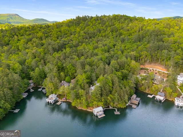 1006 Perrin Cove Road, Tiger, GA 30576