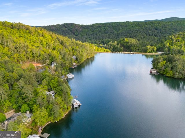 1006 Perrin Cove Road, Tiger, GA 30576