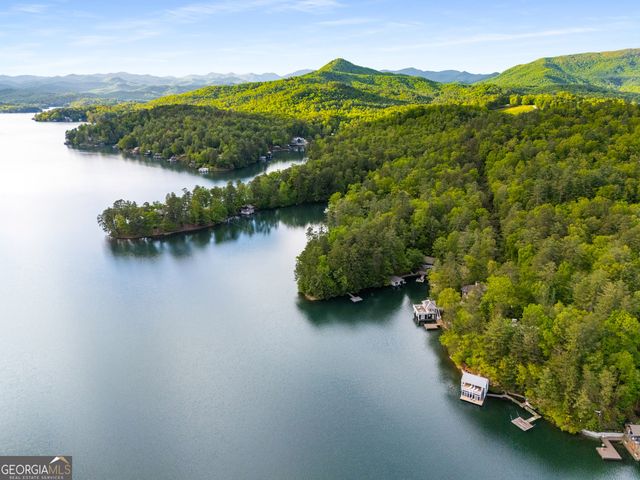 1006 Perrin Cove Road, Tiger, GA 30576