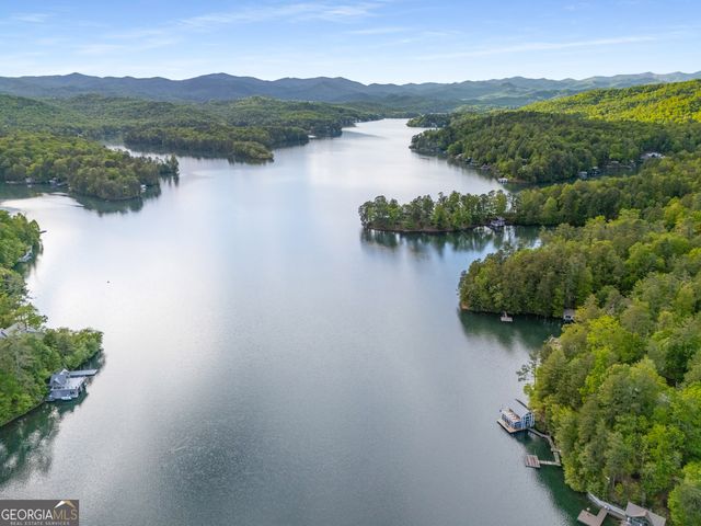 1006 Perrin Cove Road, Tiger, GA 30576