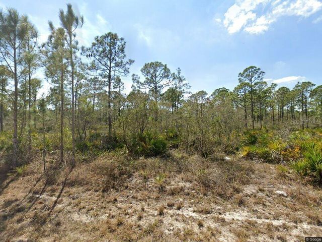 1140 HERON STREET, Lake Placid, FL 33852