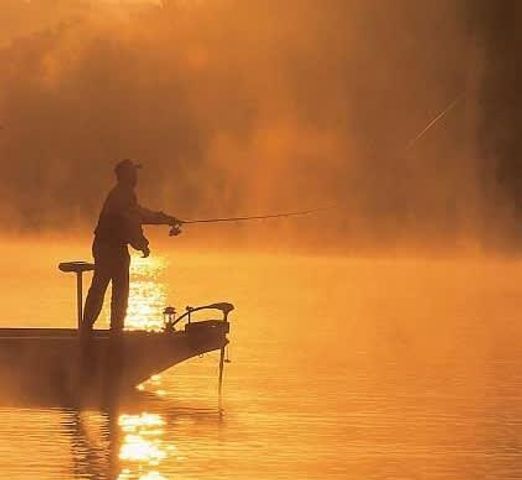 40 Scenic Court 4, Branson, MO 65616