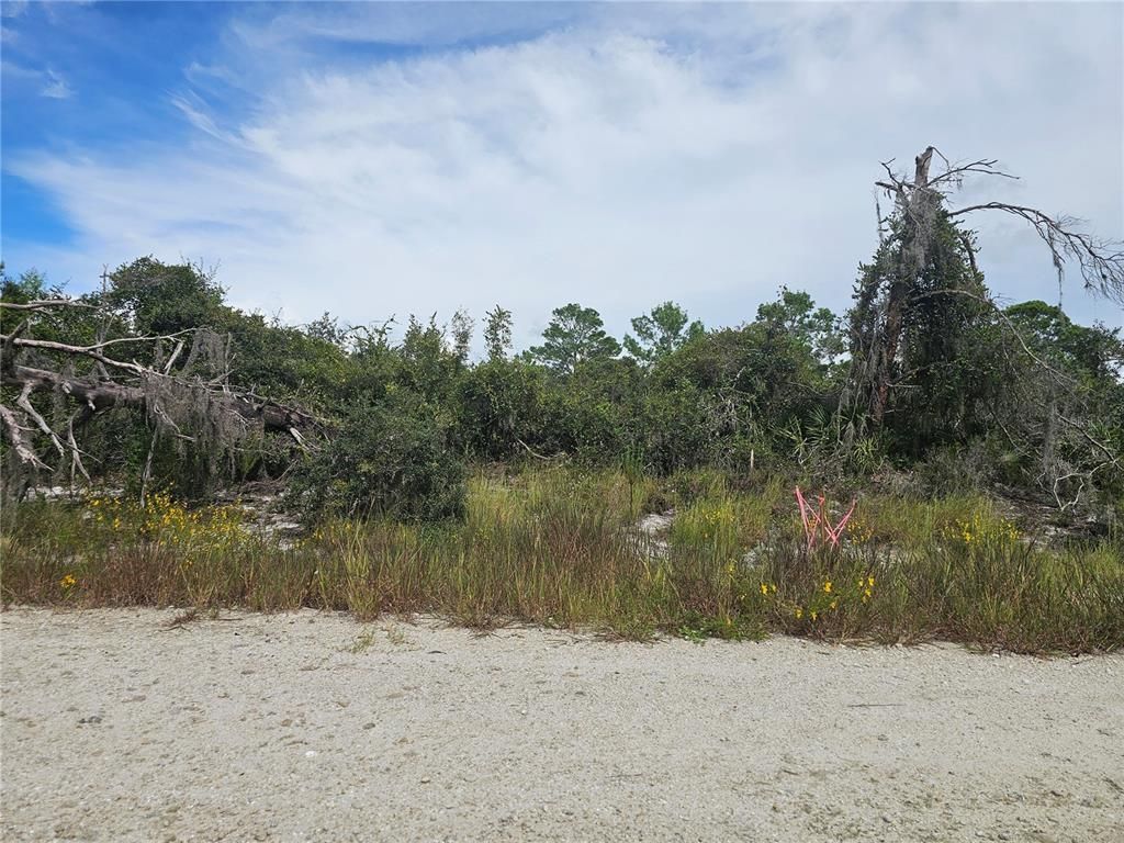123 PATTON AVENUE, Lake Placid, FL 33852