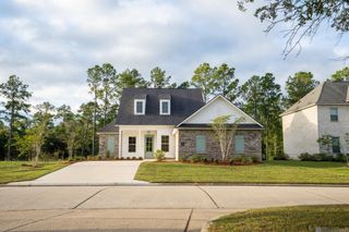 30652 Bluewing Crescent, Springfield, LA 70462
