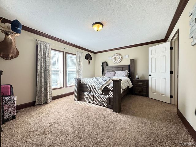 3201 County Road 49, Reform, AL 35481