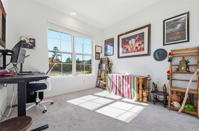 15623 Red Panda Road, Conroe, TX 77302