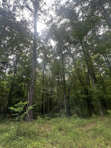 00 Weir Street, Summerville, SC 29483