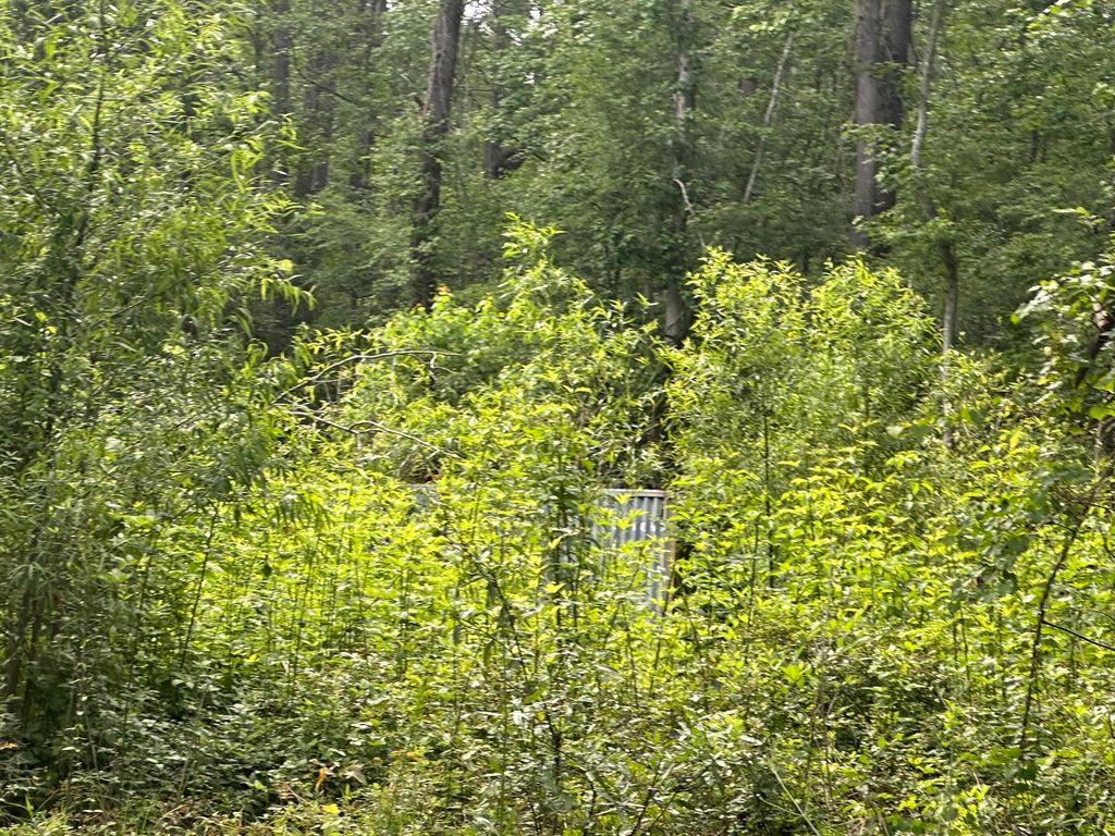 00 Weir Street, Summerville, SC 29483