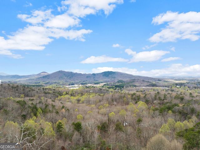 777 Oak Pointe Drive, Cleveland, GA 30528