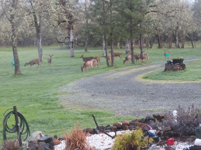 2802 Russell Road, Merlin, OR 97532