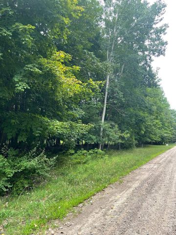 0000 Beech Forest Court, Addison Twp, MI 48337