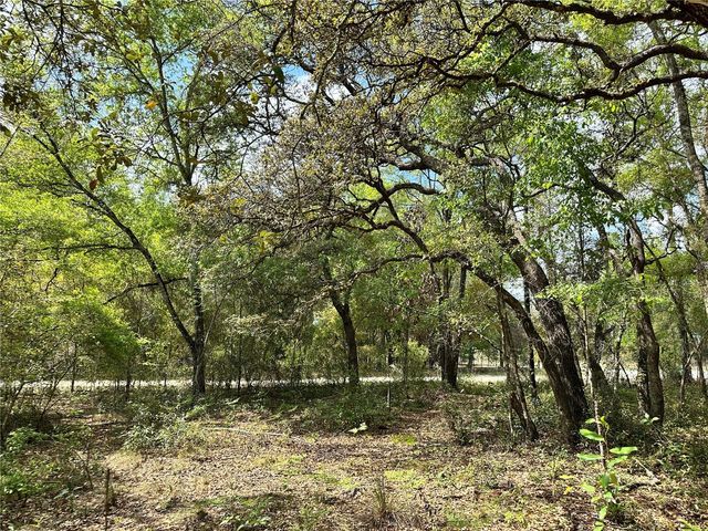 TBD NE 9TH STREET, Williston, FL 32696