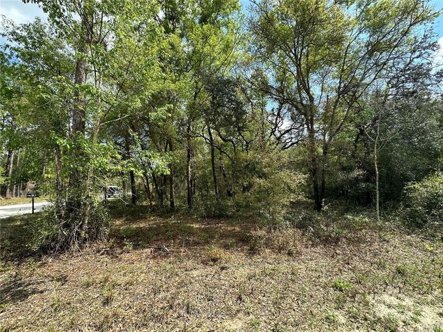 TBD NE 9TH STREET, Williston, FL 32696