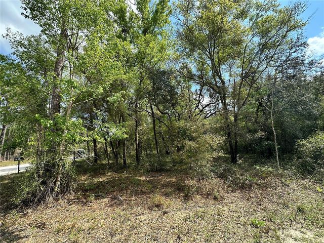 TBD NE 9TH STREET, Williston, FL 32696