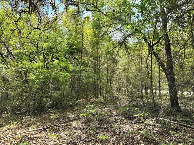 TBD NE 9TH STREET, Williston, FL 32696