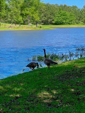 355 Honeysuckle Ln., Longview, TX 75605