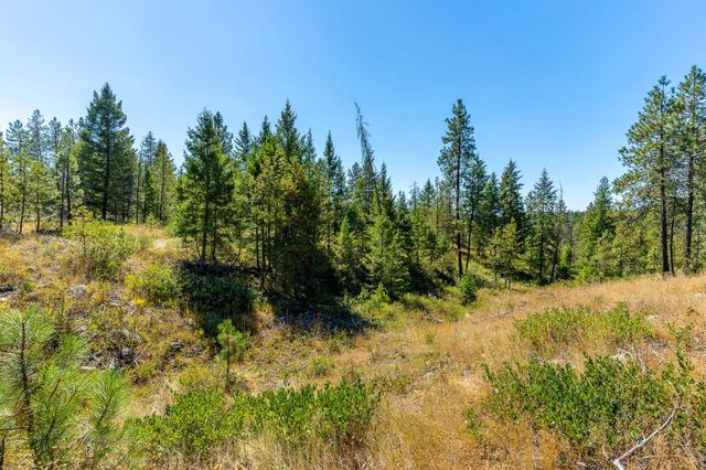 1059 Scotia Rd, Newport, WA 99156