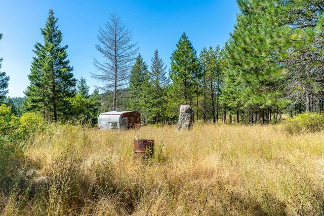 1059 Scotia Rd, Newport, WA 99156