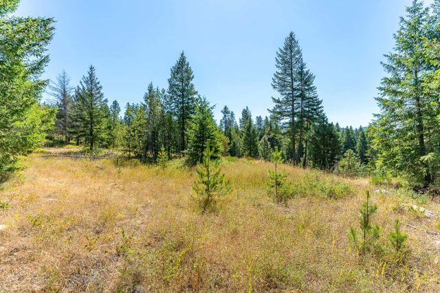 1059 Scotia Rd, Newport, WA 99156
